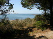 Aux alentours de Locmariaquer - 1