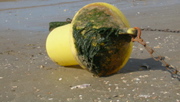 Cote Atlantique - 4