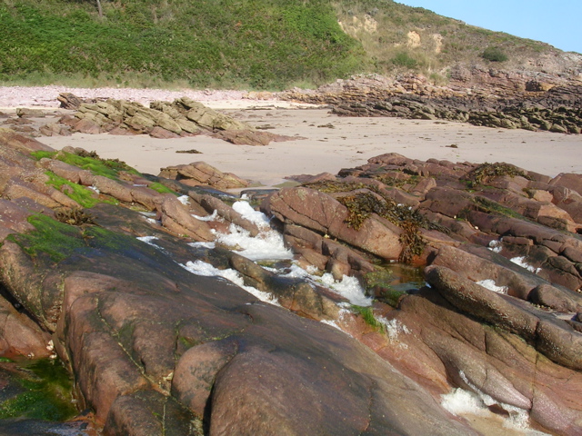 DSCN6732.JPG
