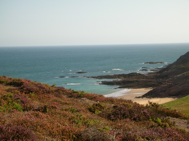 DSCN0287.JPG