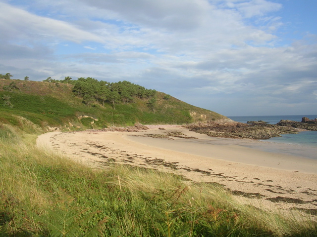 DSCN7015.JPG