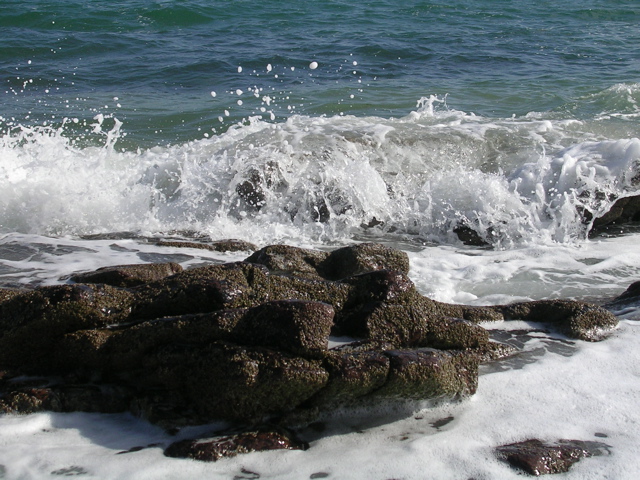 DSCN6787.JPG