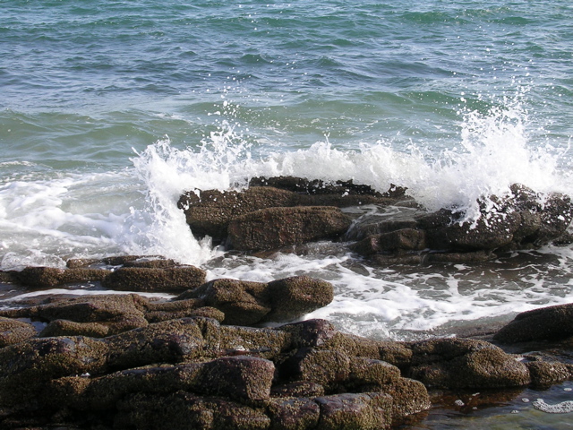 DSCN6788.JPG
