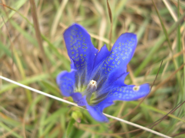 DSCN6774.JPG