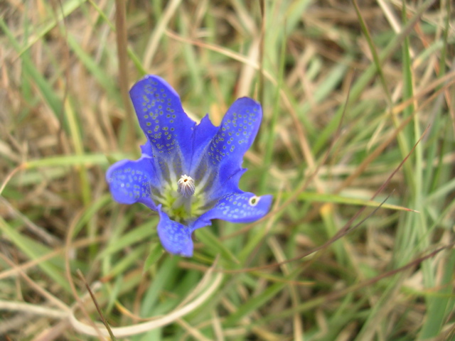 DSCN6775.JPG