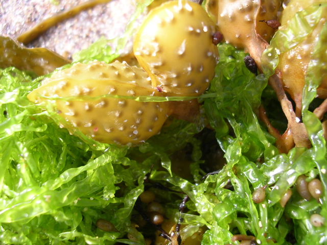 DSCN6792.JPG