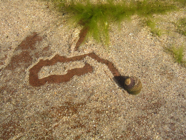DSCN6802.JPG