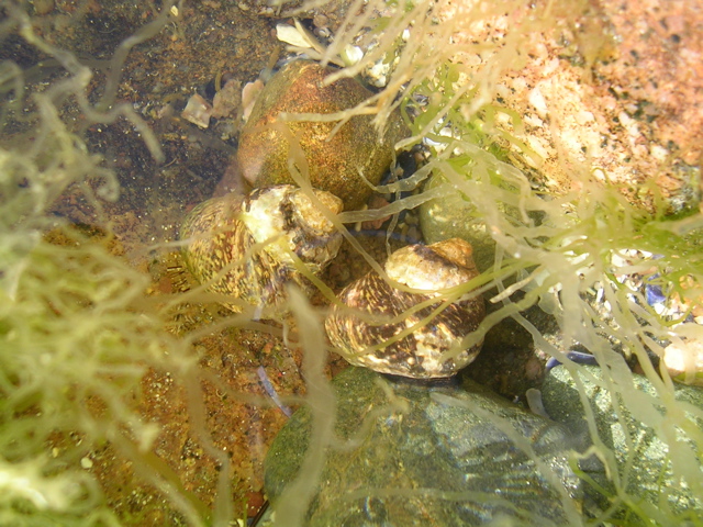 DSCN7226.JPG
