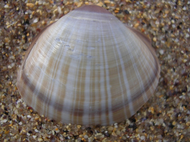 DSCN7019.JPG