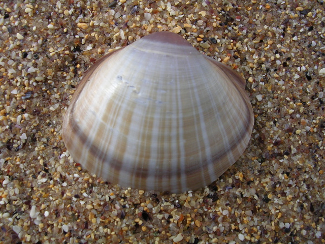 DSCN7020.JPG