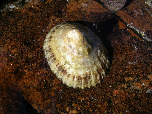 DSCN7232.JPG