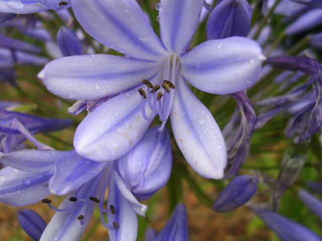 DSCN7035.JPG