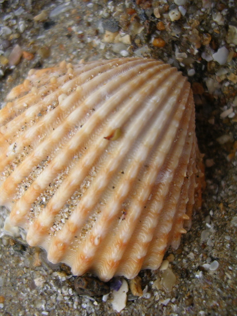 DSCN6723.JPG