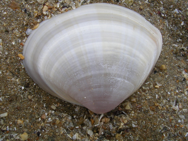 DSCN6724.JPG