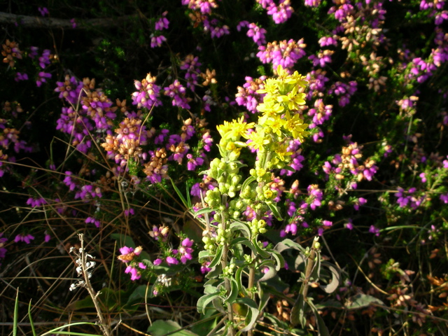 DSCN0291.JPG