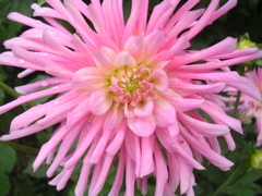 DSCN7244.JPG