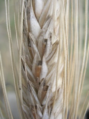 DSCN7194.JPG