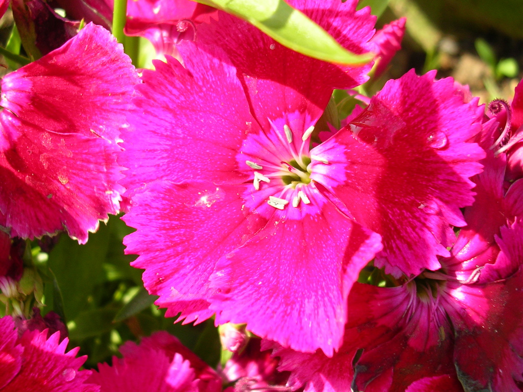 DSCN0098.JPG