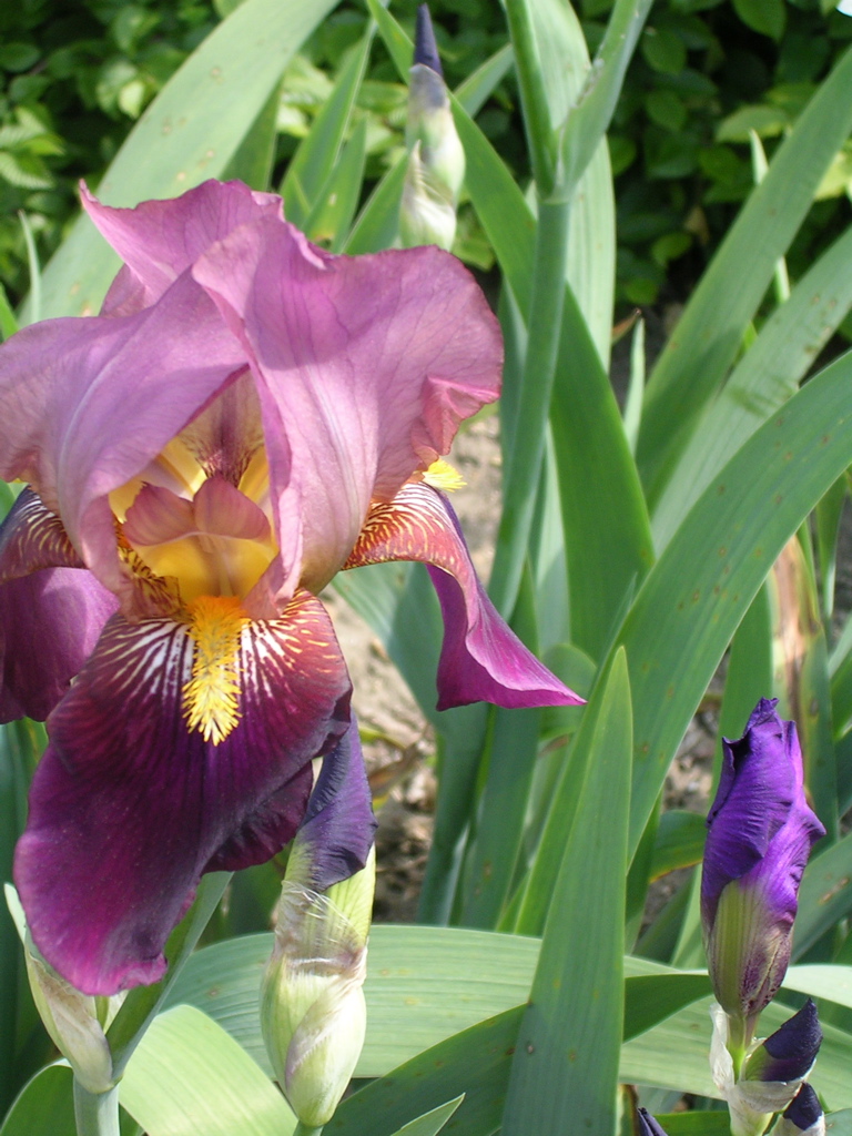 DSCN0120.JPG