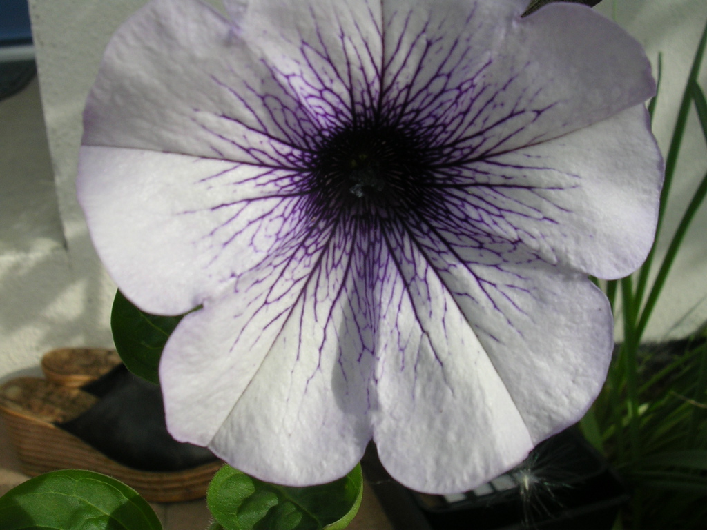 DSCN2912.JPG