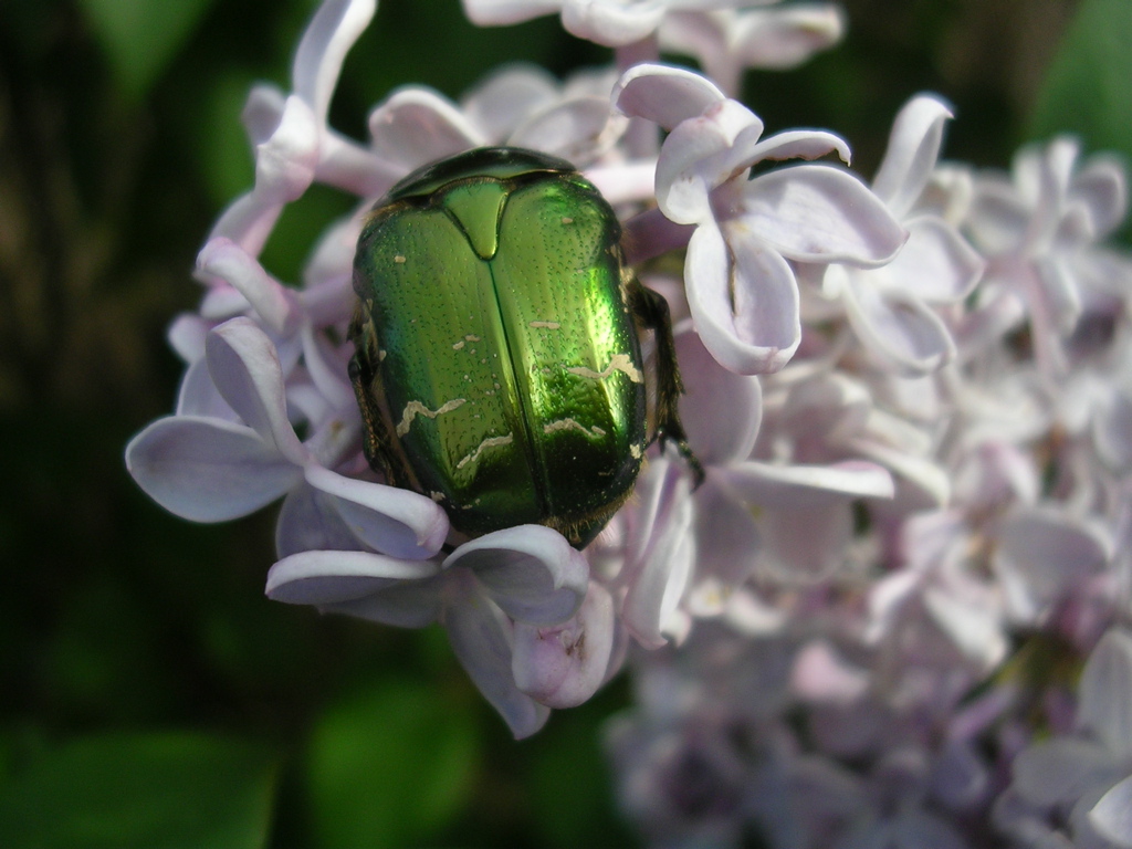 DSCN2913.JPG