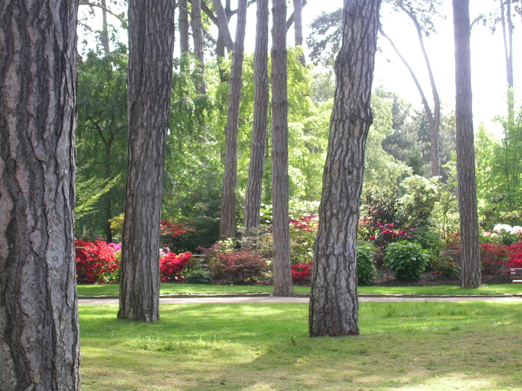 DSCN0122.JPG