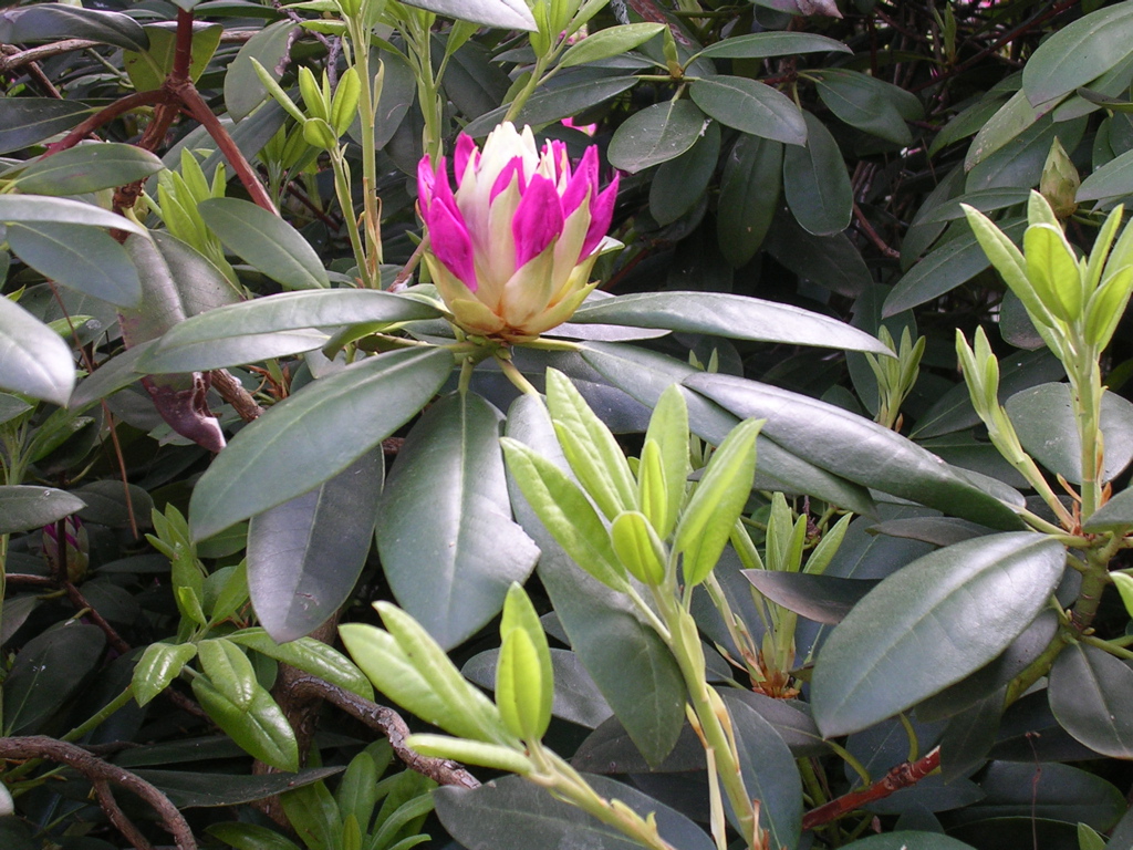 DSCN0123.JPG