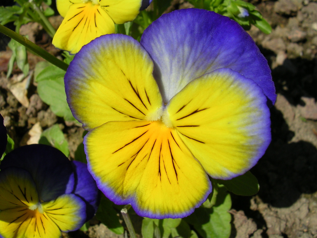 DSCN0450.JPG