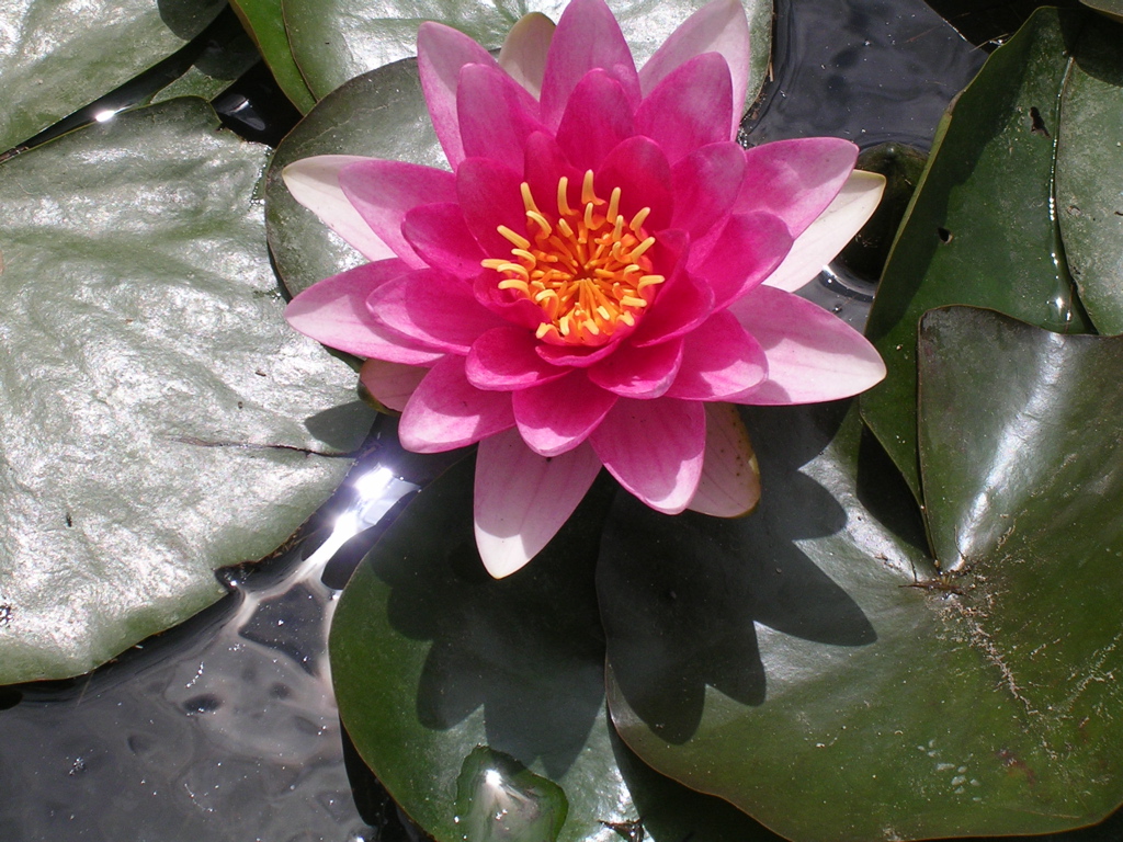 DSCN0635.JPG
