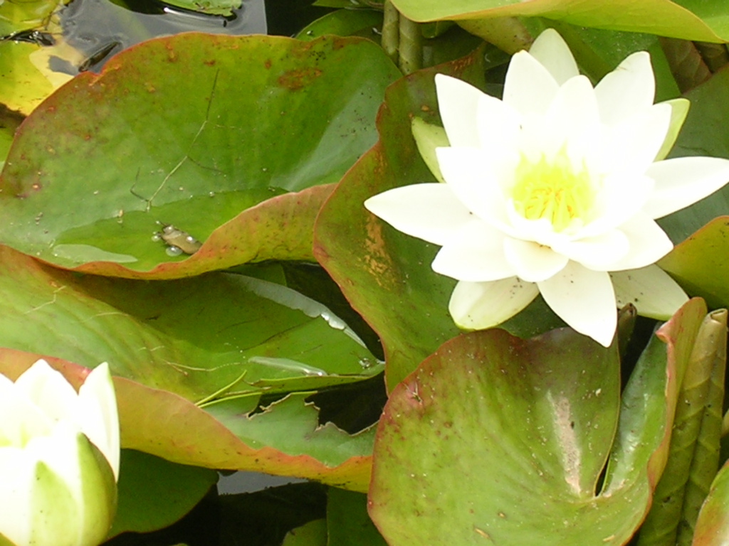 DSCN0637.JPG