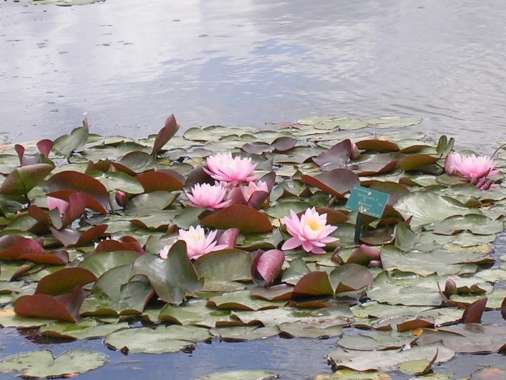 DSCN0638.JPG