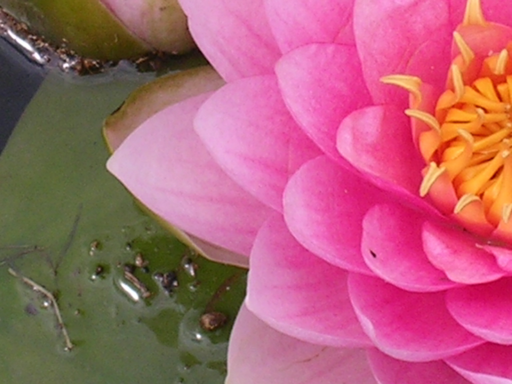 DSCN0639.JPG