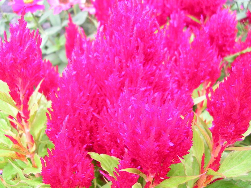 DSCN1328.JPG