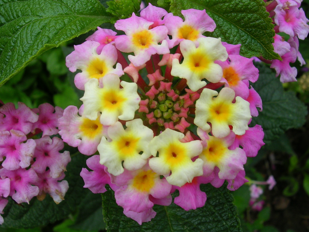 DSCN1329.JPG