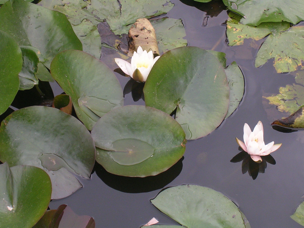 DSCN1334.JPG