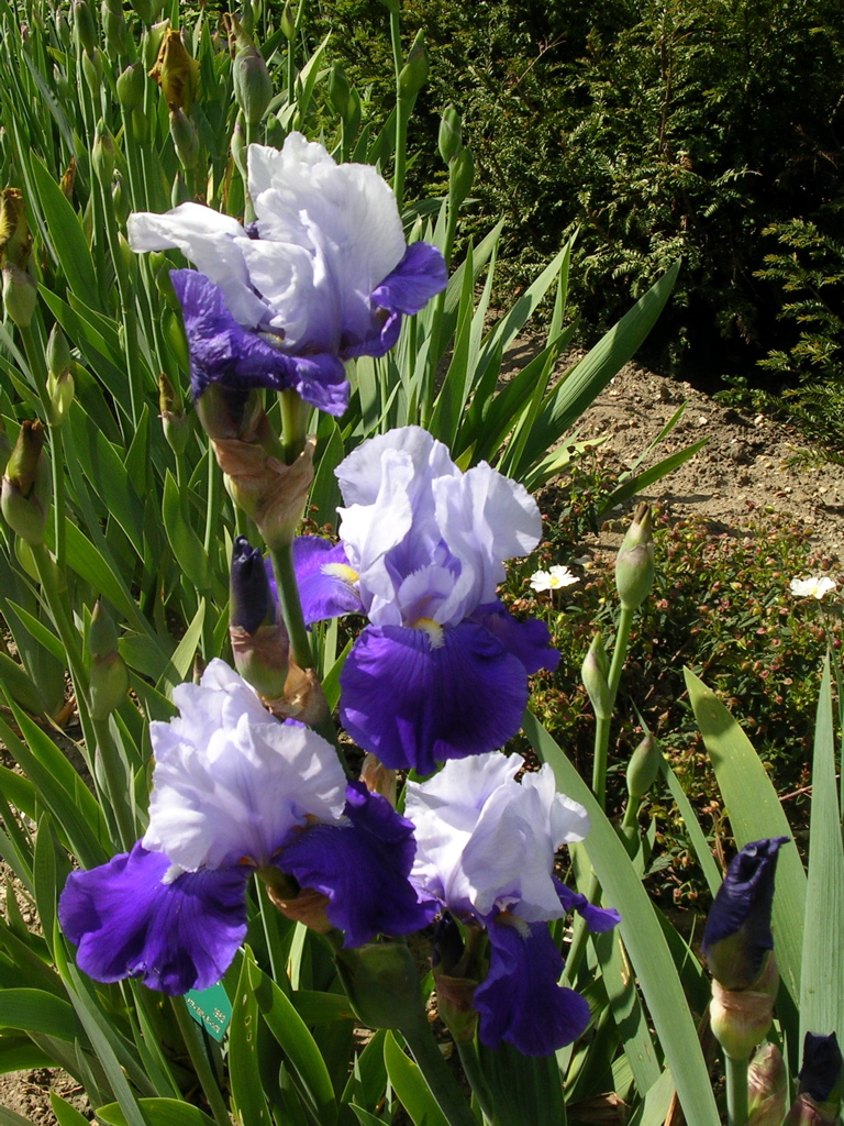 DSCN0114.JPG