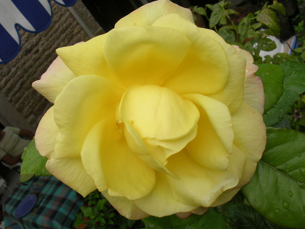 DSCN1441.JPG