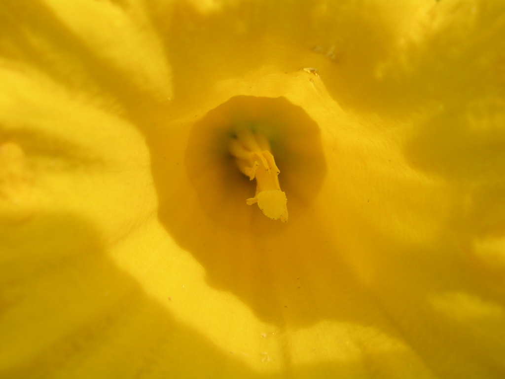 DSCN2717.JPG