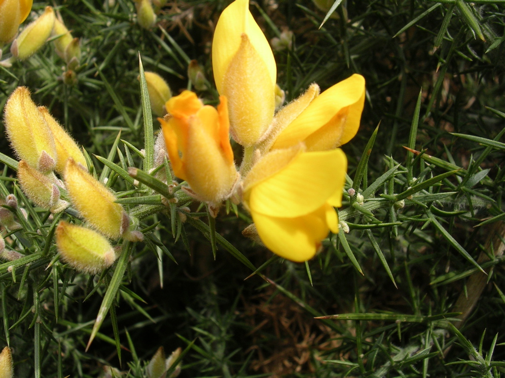 DSCN2723.JPG