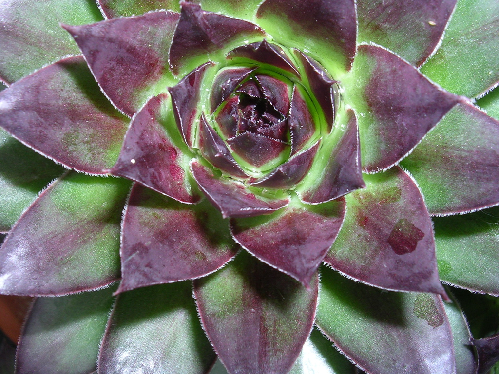 DSCN2757.JPG