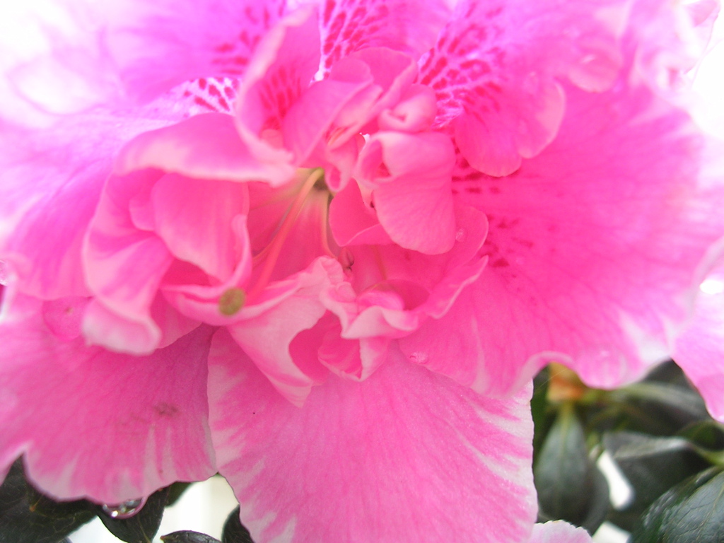 DSCN2758.JPG