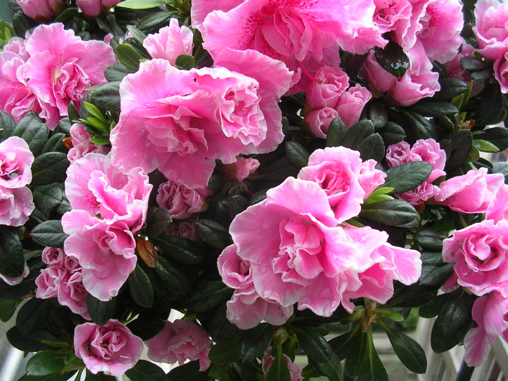 DSCN2759.JPG