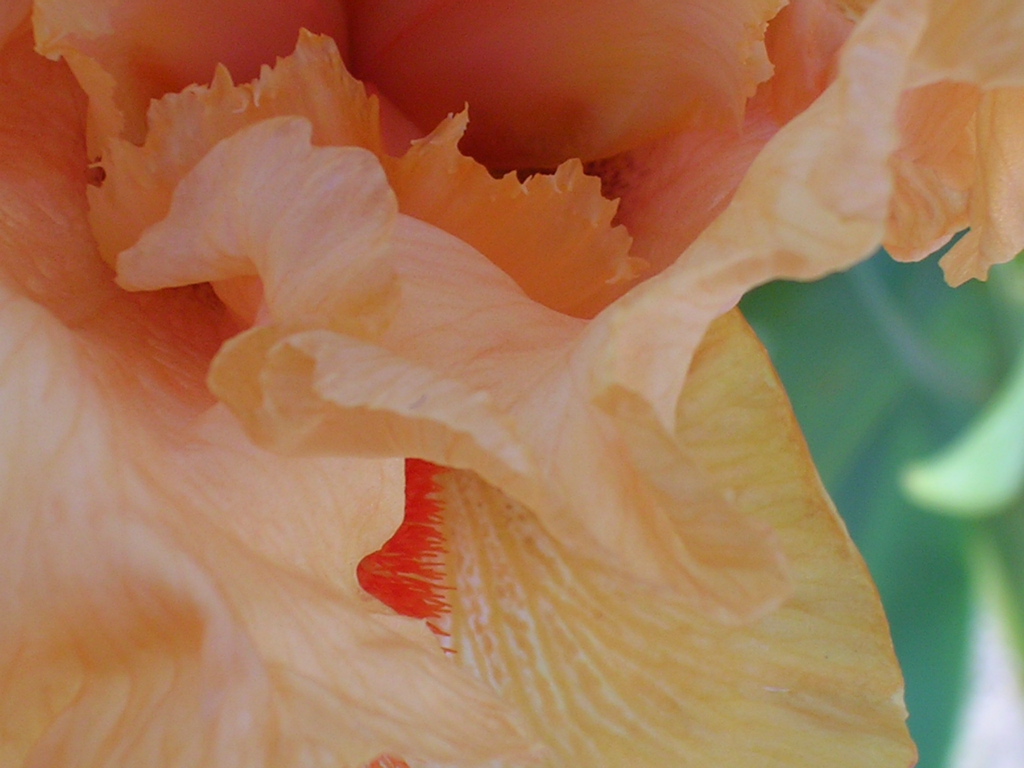 DSCN0119.JPG