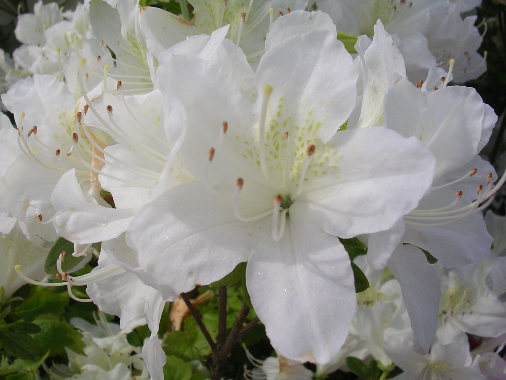DSCN2876.JPG