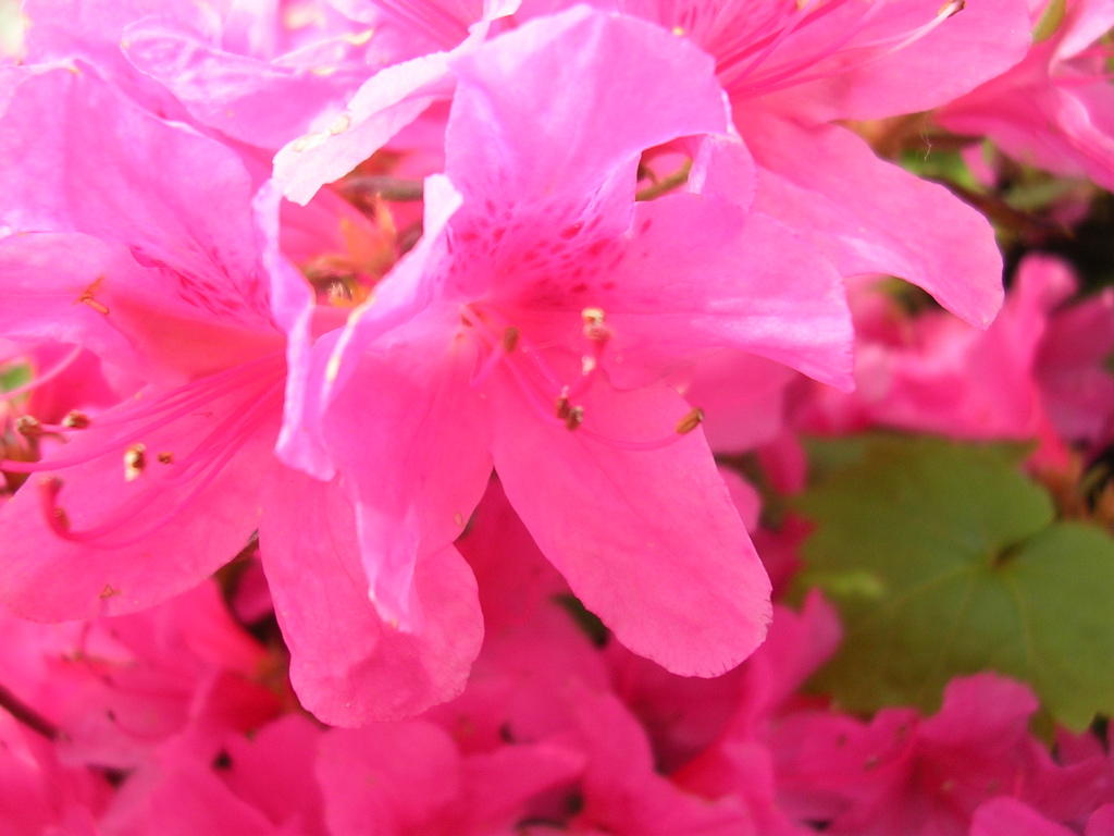 DSCN2877.JPG