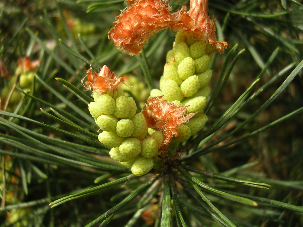 DSCN2880.JPG