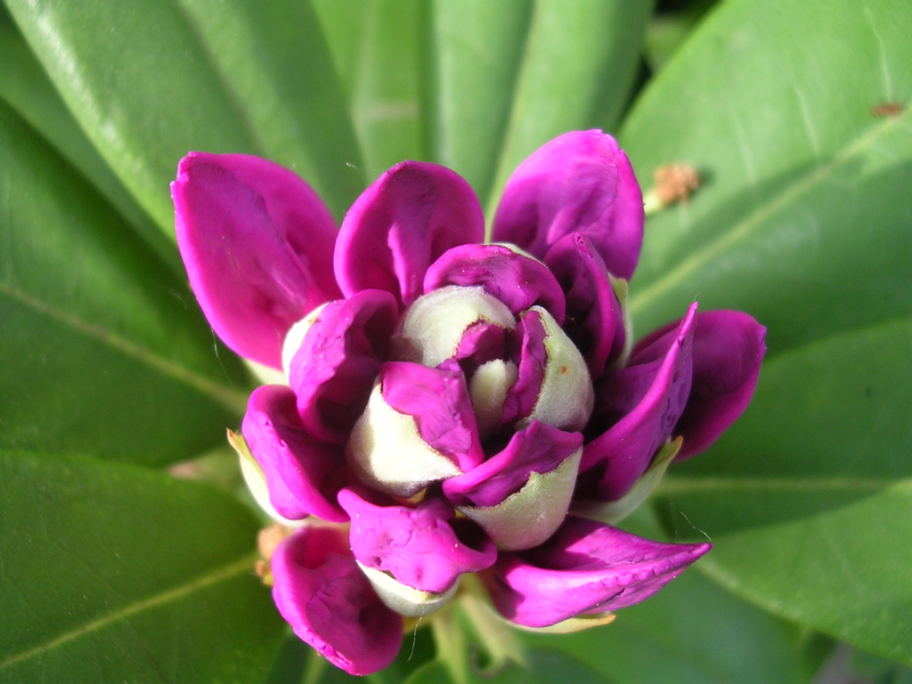 DSCN2883.JPG