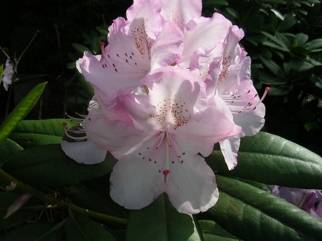 DSCN2884.JPG