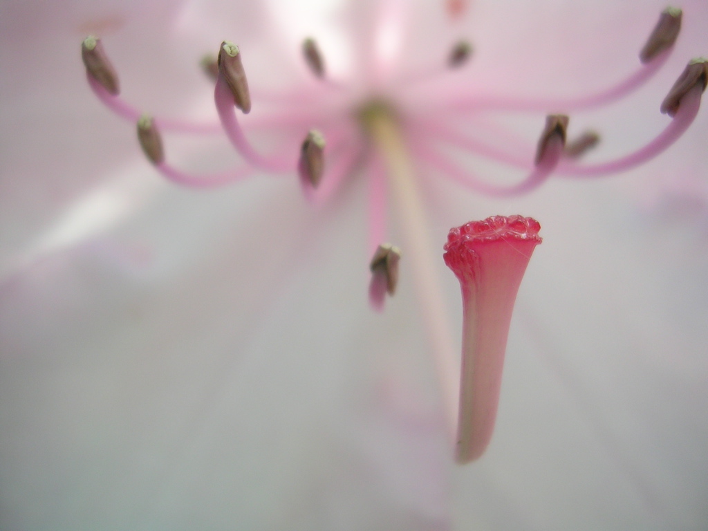 DSCN2885.JPG