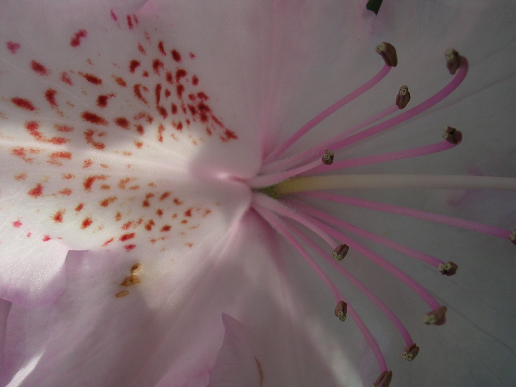 DSCN2886.JPG